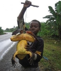 Create meme: the Goliath frog structure, the Goliath frog and the man, big frog Goliath