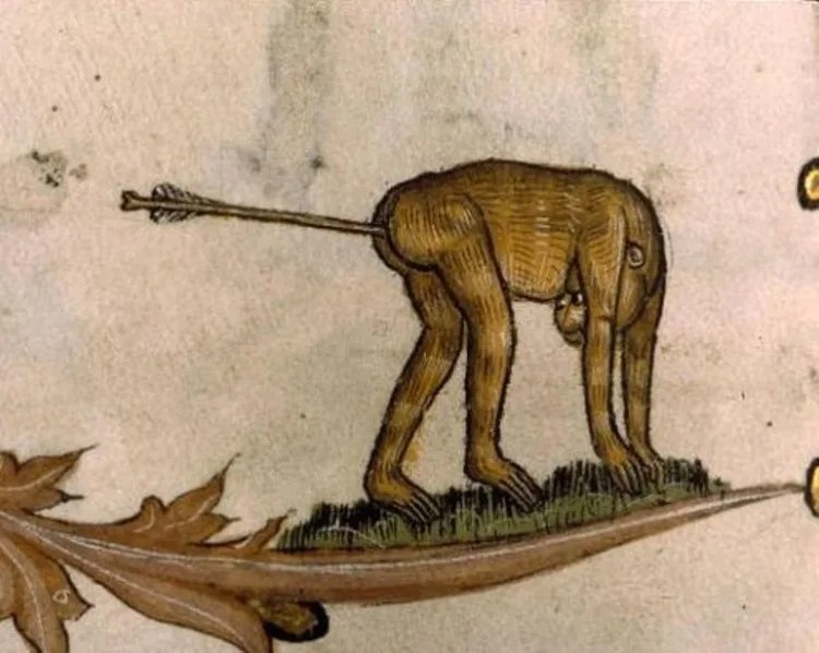 Create meme: medieval drawings, medieval bestiary, suffering middle ages 