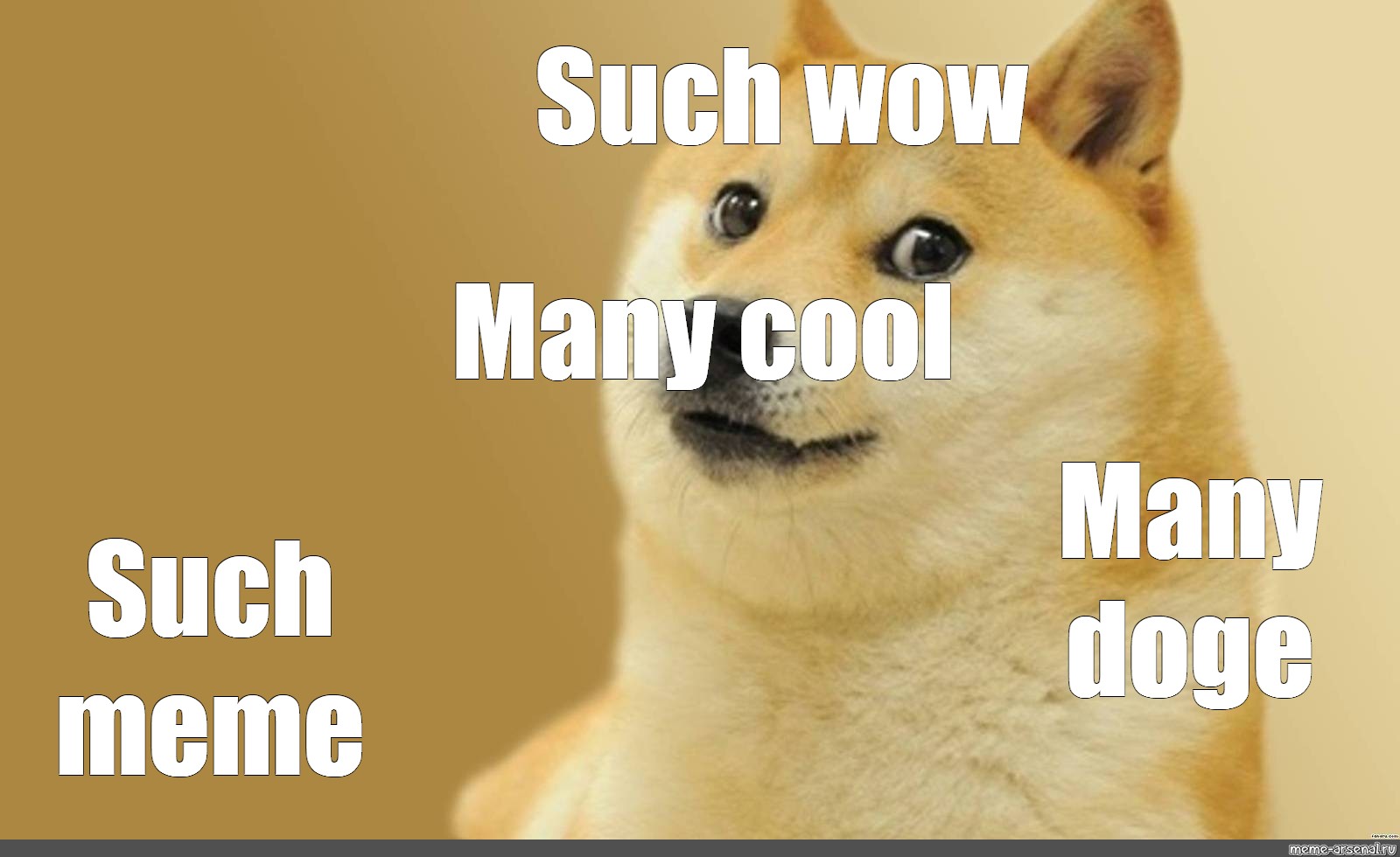 doge meme so wow