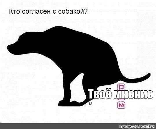 Создать мем: null