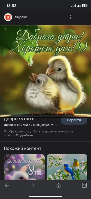 Create meme: Good morning with the birds, Good morning birds, Good morning with birds and wishes