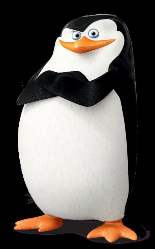 Create meme: the Madagascar penguins, the penguins of Madagascar skipper, penguin from Madagascar