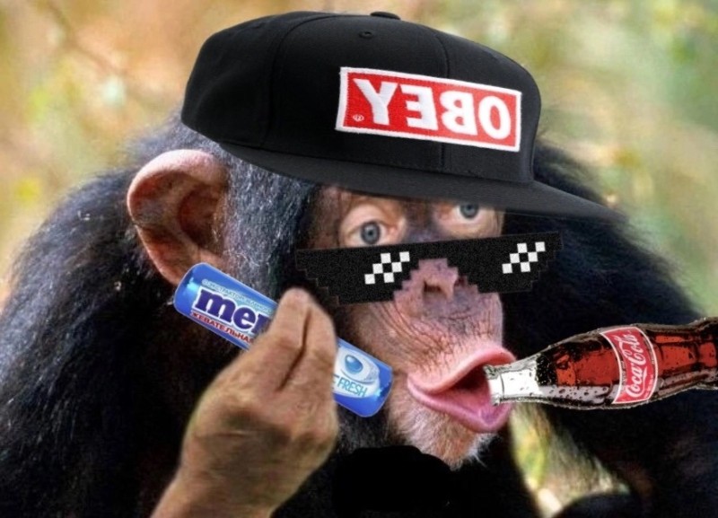 Create meme: monkey chimp, chimp meme, monkey with lips