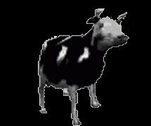 Create meme: darkness, polish cow, dancing cow