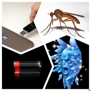 Create meme: insects, mosquito, pictures insect mosquito