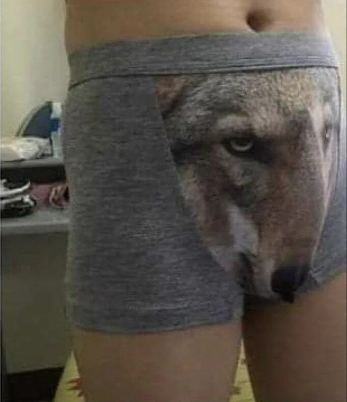 Create comics meme wolf, underwear wolf - Comics 