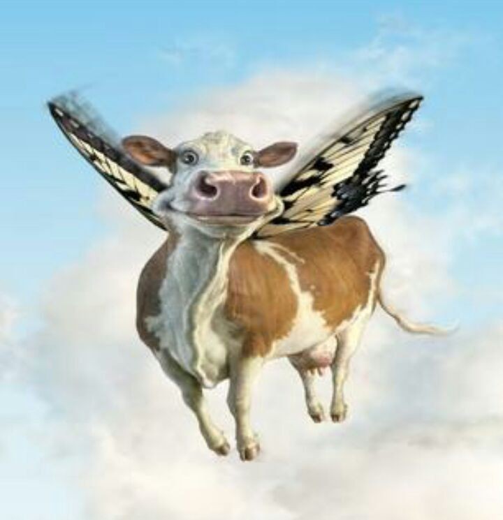 Create meme: flying cow, Skliss the flying cow, a cow in flight