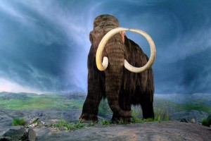Create meme: mammoth, mammuthus, mammoths, titans of the ice age