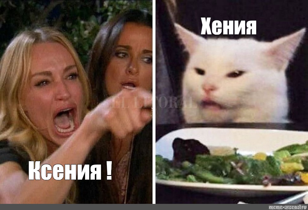 Мем с коте и двумя. Мемы про двух баб и кота. Мемы с котом и девушками. Мемы с двумя девушками и котом. Мем с котом и дв мя девушками.