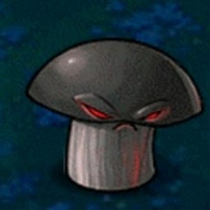 Doom shroom что делает