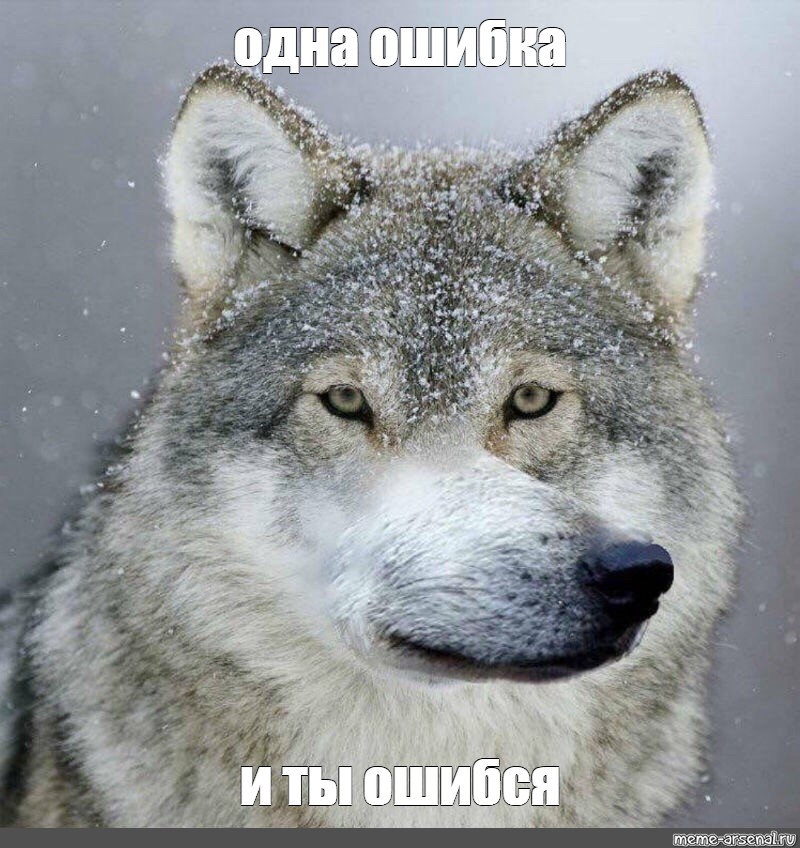 Одна ошибка и ты ошибся: частные нюансы работы с документами в госзаказе — Личный опыт на cleartagil.ru