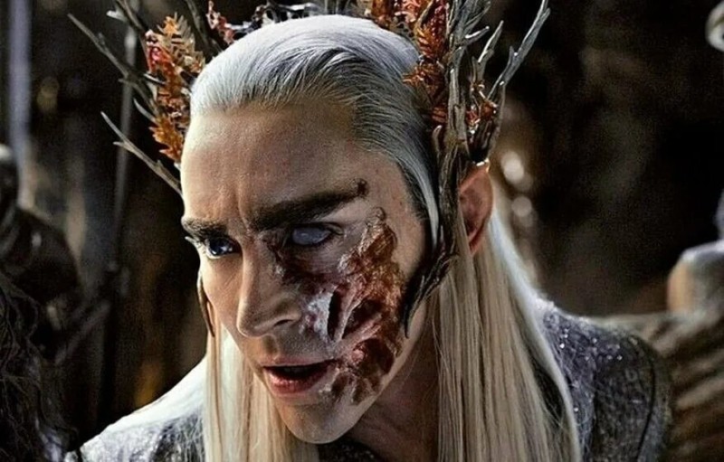 Create meme: the lord of the rings thranduil, Thranduil the hobbit, The Hobbit King Thranduil