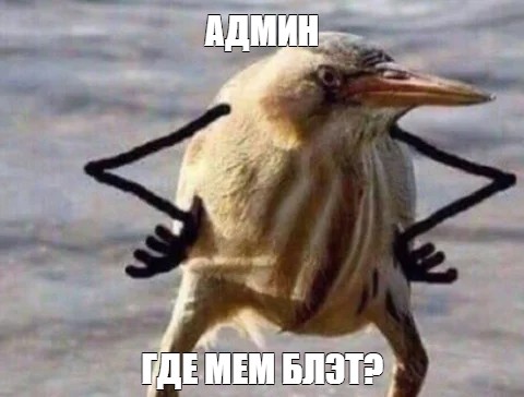 Создать мем: null