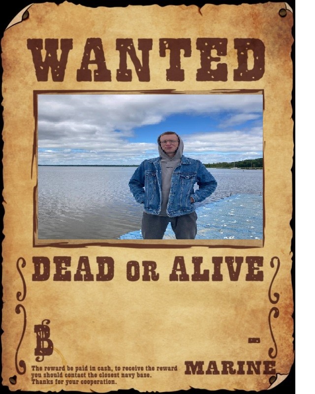 Create meme: wanted poster, wanted dead or alive, wanted leaflet