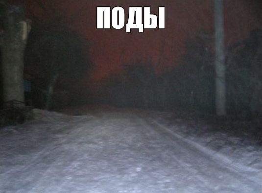 Create meme: the landscape is gloomy, snow , the forest dark