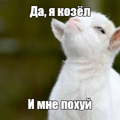 Создать мем: null