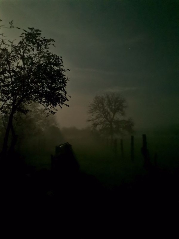 Create meme: landscapes forest, foggy landscapes, atmospheric landscapes