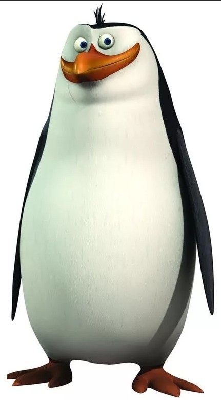 Создать мем: пингвин рико, пингвин, пингвины из мадагаскара шкипер