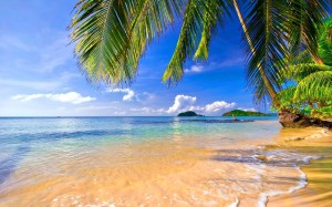 Создать мем: пляж море пальмы, тропический пляж, красивый вид на море с пляжа