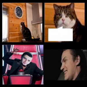 Create meme: the cat, Benedict cumberbatch with a cat, memes 2014