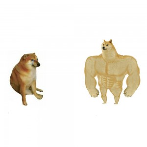 Create meme: doge meme Jock, doge Jock, dog Jock meme