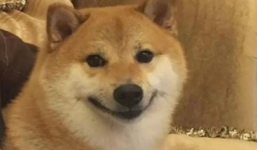 Create meme: shiba inu meme, shiba inu, shiba inu 