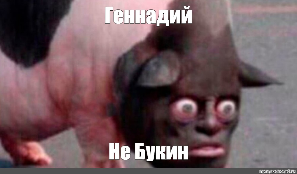 Создать мем: null