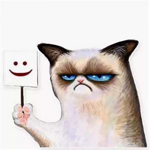 Grumpy Cat Create Meme Meme Arsenal Com - oddawaj robuxy grumpy cat meme generator