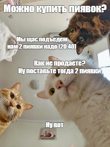 Щас подъеду