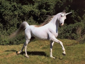 Создать мем: unıcorn, красивые лошади, horse