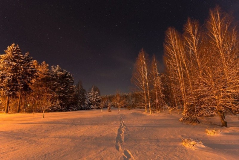 Create meme: winter road, winter forest , winter night