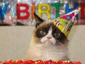 Создать мем: грустный кот день рождения гиф, котик в праздничном колпачке, недовольный кот день рождения