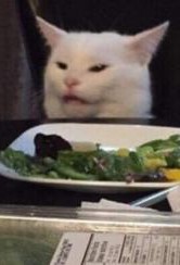 Create meme: cat with salad meme, memes with a cat at the table, meme the cat at the table