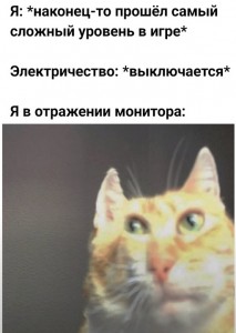 Создать мем: мемы, мем кот, Кошка