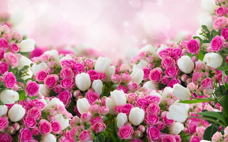 Create meme: beautiful flowers background, beautiful flowers , beautiful background with flowers