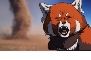 Create meme: red Panda