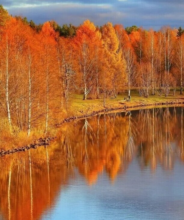 Create meme: autumn landscapes, Golden autumn, golden autumn landscape