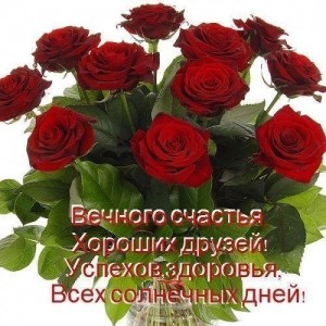 Create meme: flowers, bouquet with roses, favorite flowers