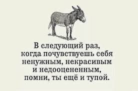 Создать мем: мудрые цитаты, в следующий раз когда почувствуешь себя ненужным некрасивым, помни ты еще и тупой