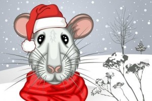 Create meme: rat art Christmas, pictures of the year of the rat mouse 2020, mouse Santa figure