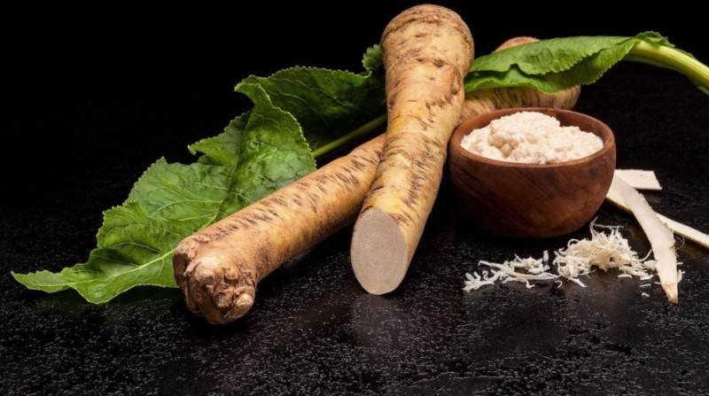 Create meme: burdock root , horseradish plant, horseradish is a vegetable