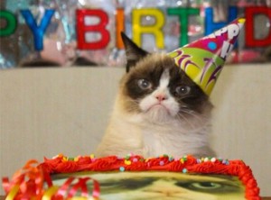 Create meme: happy birthday meme cat, sad cat birthday, happy birthday cat