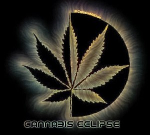 Create meme: marijuana, cannabis leaf, marijuana leaf