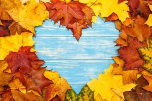 Create meme: autumn leaves, background autumn