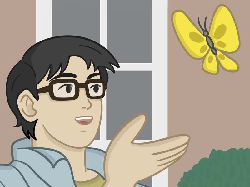 Create meme: butterfly meme, is this a pigeon, meme with butterfly anime