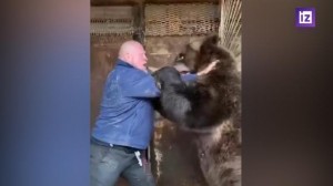 Create meme: a huge bear, bear animal, bear