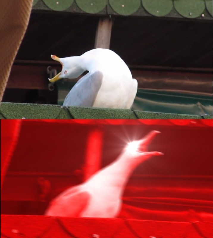 Create meme: screaming Gus meme, screaming Seagull meme, a deep breath