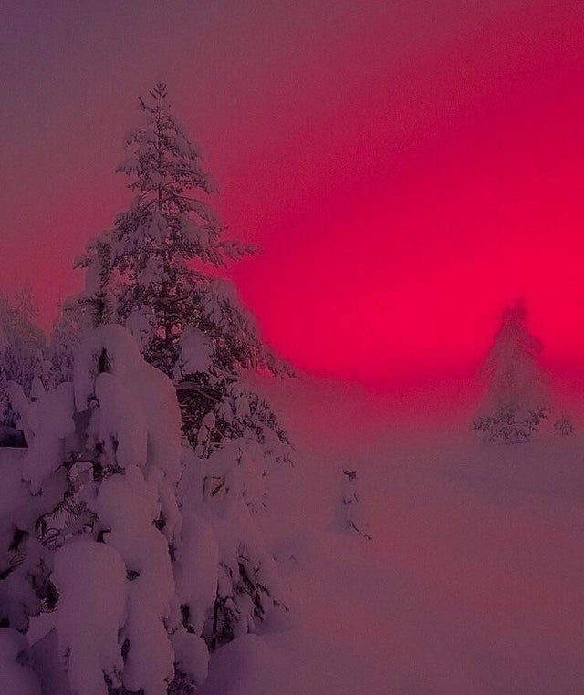 Create meme: winter sunset, winter landscapes, snowy landscape