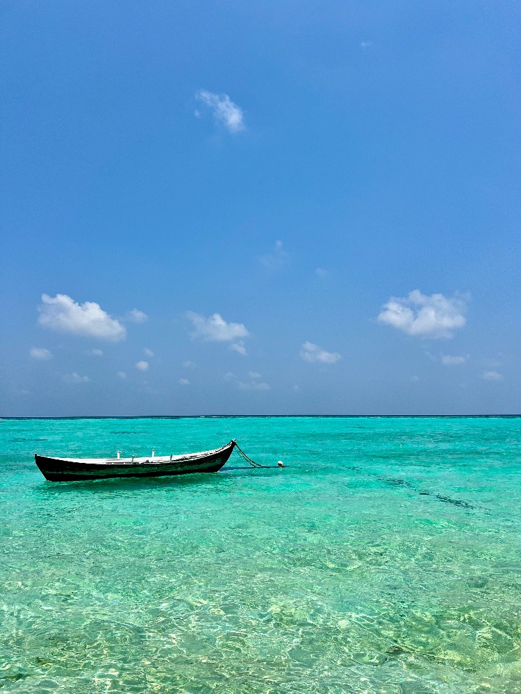 Create meme: tanzania zanzibar, from the beach, island