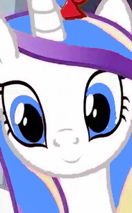 Создать мем: rarity pony, мисс пони, пони